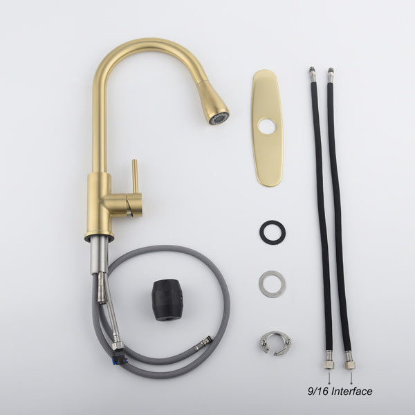 Nexus Aureo (Brushed Gold) Kitchen Faucet