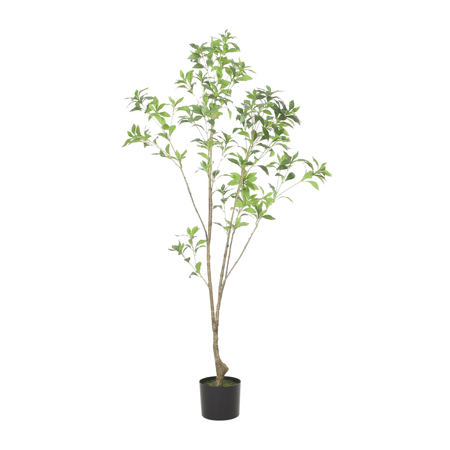 Arboréa Origins 150CM Artificial Pieris Tree