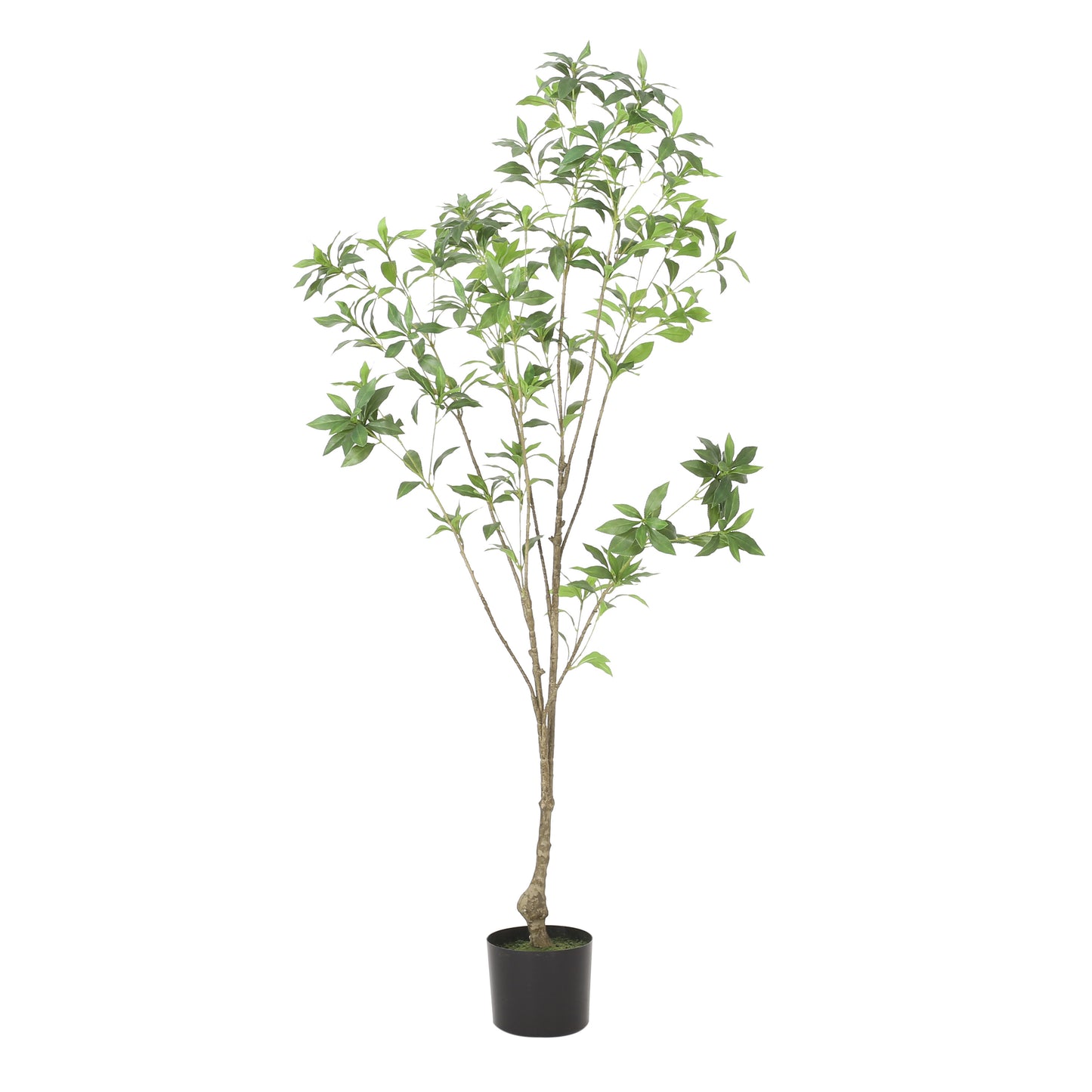 Arboréa Origins 150CM Artificial Pieris Tree