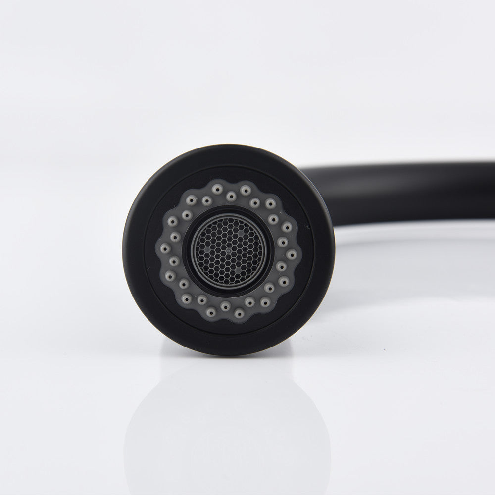 Nexus Onyx Kitchen Faucet