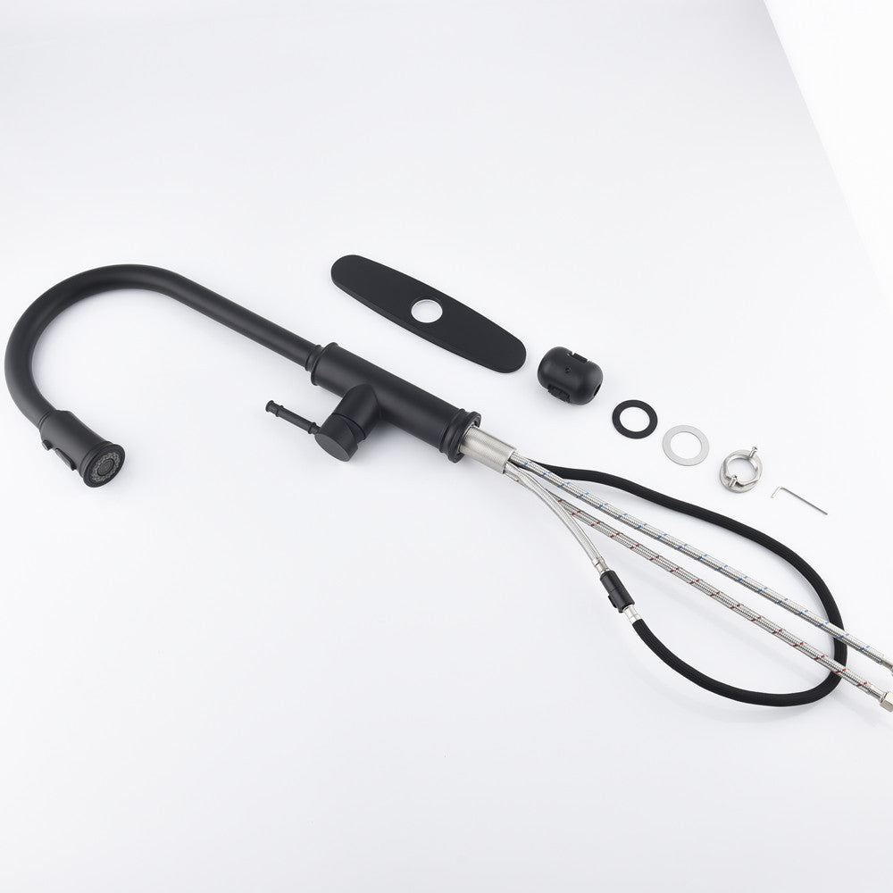 Nexus Onyx Kitchen Faucet