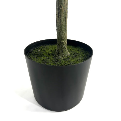 Arboréa Origins 150CM Artificial Olive Tree