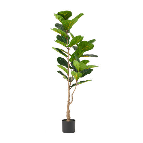 Arboréa Origins 150CM Artificial Violin Leaf Fig Tree
