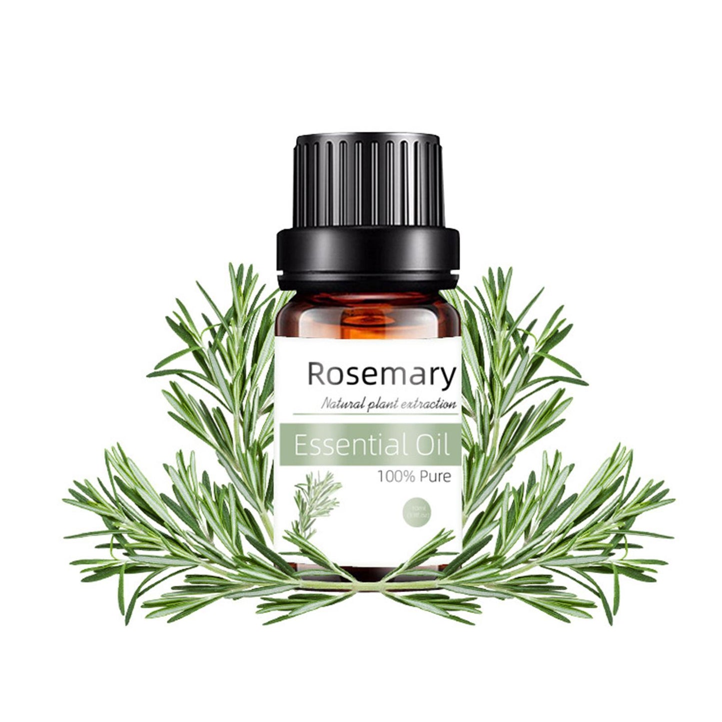 Rosemary Essential Oil