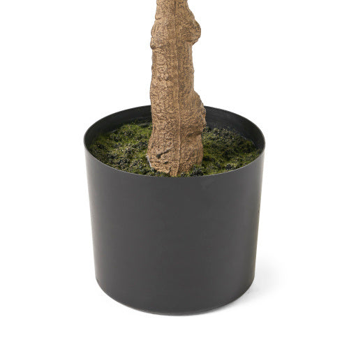 Arboréa Origins 150CM Artificial Violin Leaf Fig Tree