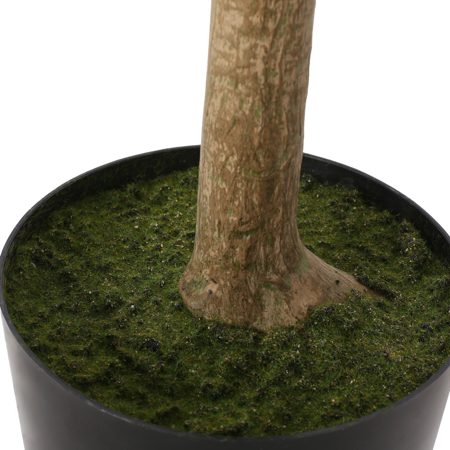 Arboréa Origins 180CM Artificial Pachira Tree (Money Tree)
