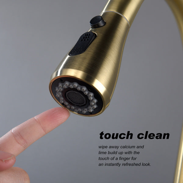 Nexus Aureo (Brushed Gold) Kitchen Faucet