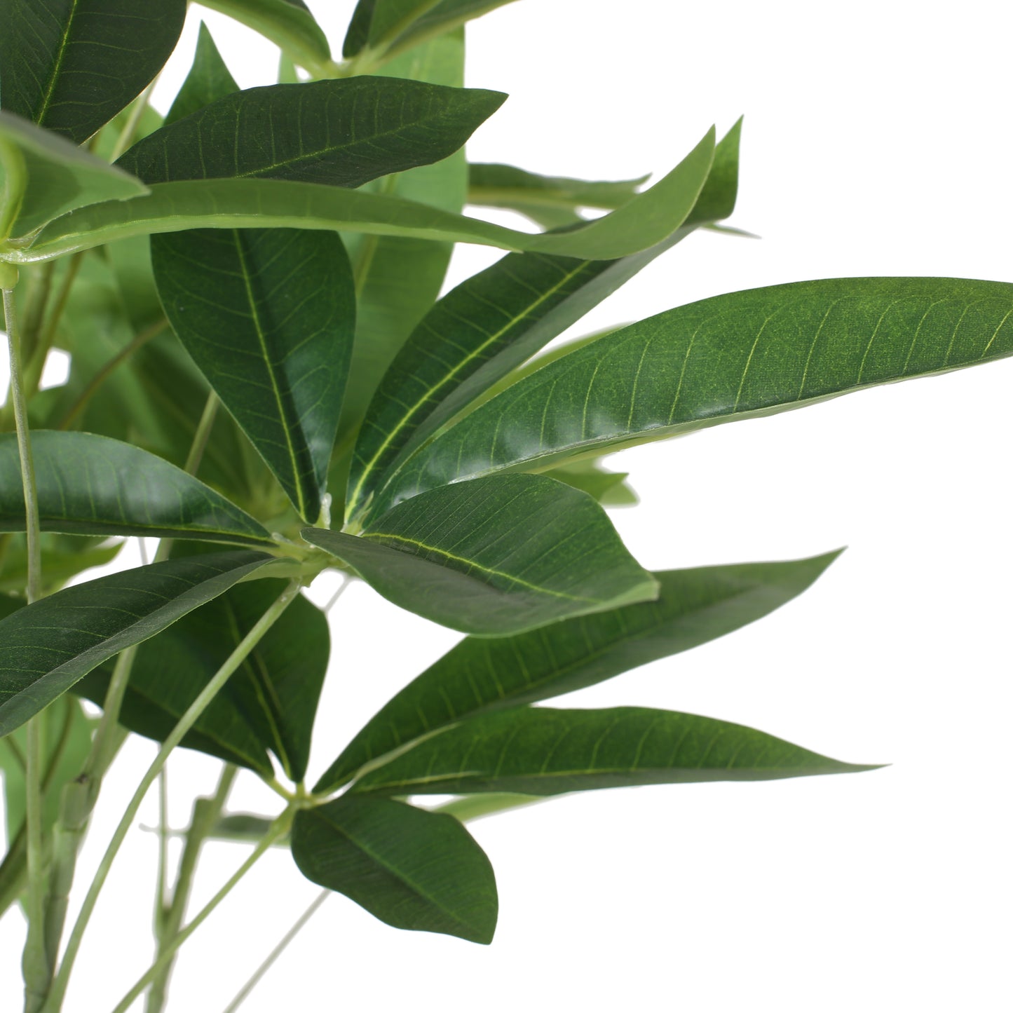 Arboréa Origins 180CM Artificial Pachira Tree (Money Tree)