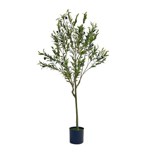Arboréa Origins 150CM Artificial Olive Tree