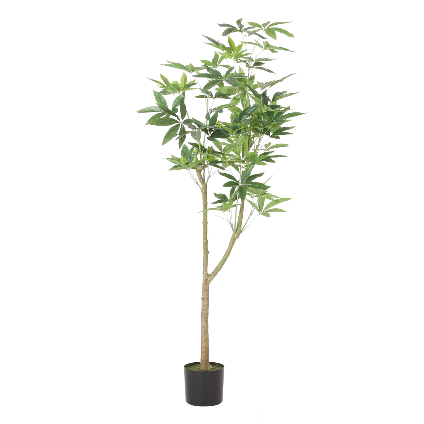 Arboréa Origins 180CM Artificial Pachira Tree (Money Tree)
