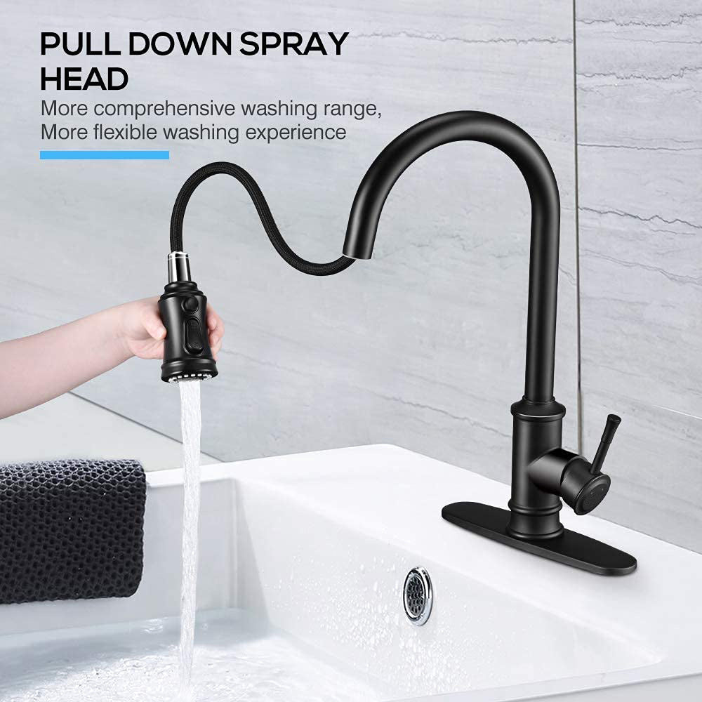 HavenFlow Matte Black Pull-Down Kitchen Faucet