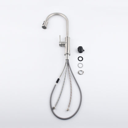 Nexus Chrome Kitchen Faucet
