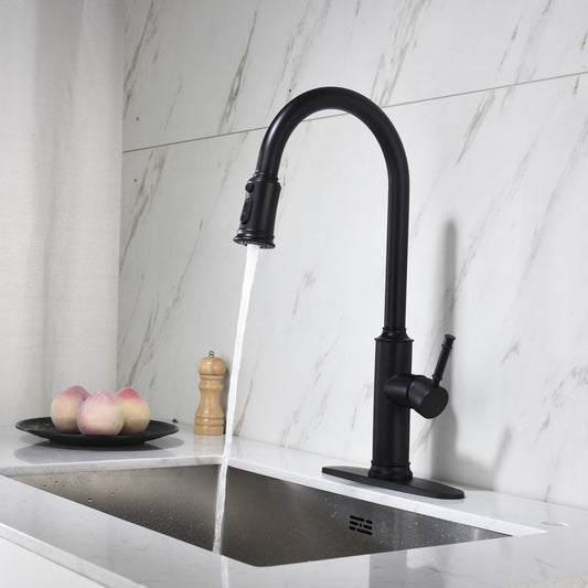 Nexus Onyx Kitchen Faucet