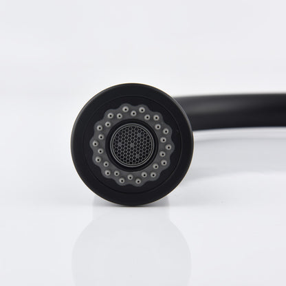 Nexus Onyx Kitchen Faucet