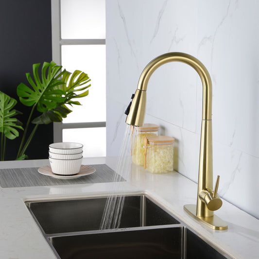HavenFlow Pull-Out Stainless Steel Kitchen Faucet
