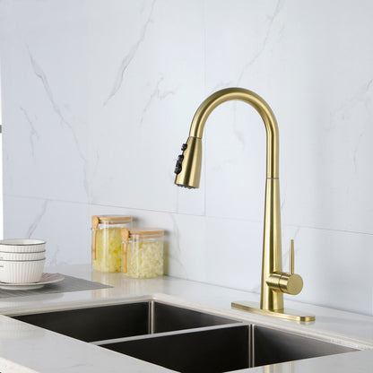 HavenFlow Pull-Out Stainless Steel Kitchen Faucet