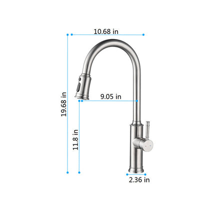 Nexus Chrome Kitchen Faucet