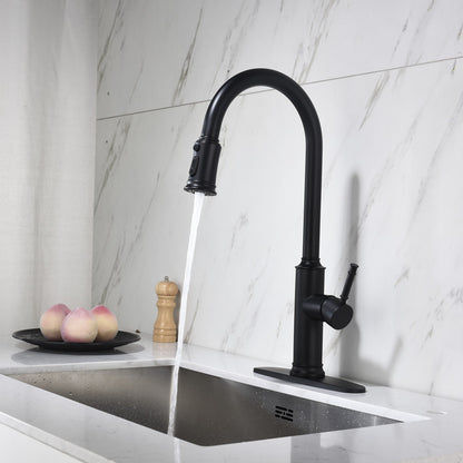 Nexus Onyx Kitchen Faucet