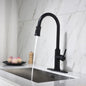 Nexus Onyx Kitchen Faucet