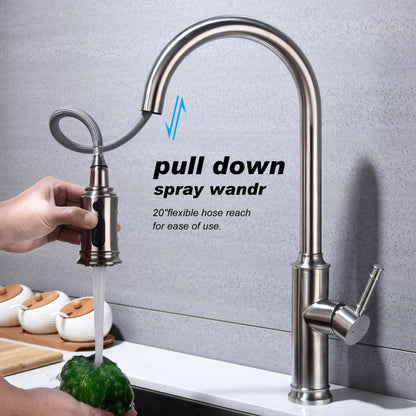 Nexus Chrome Kitchen Faucet